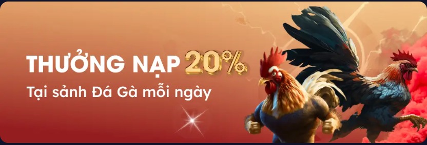 Thưởng 288K mỗi ngày khi chơi Đá gà Live Stream